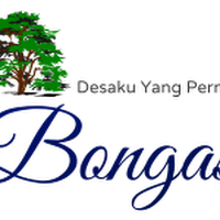 Nuansa Jawa Kekinian Di Desa Bongas Watukumpul Kab.Pemalang