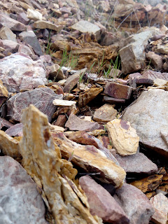 Rocks pictures