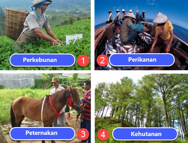 Kegiatan Ekonomi Agraris