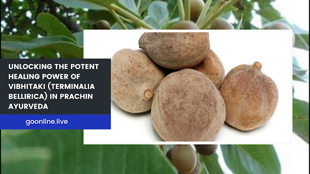 Potent Healing Power of Vibhitaki (Terminalia bellirica) in Prachin Ayurveda