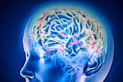 Alzheimer\u002639;s disease diganosis was given to a 29yearsold man