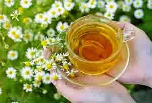 Susah Tidur Atau Insomnia, Atasi dengan Chamomile