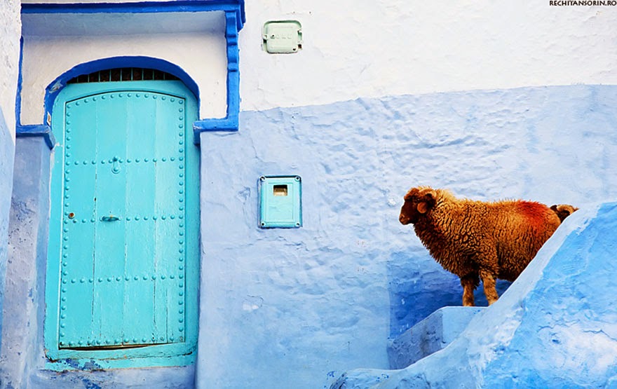 You Have To See This Mesmerizing Town In Morocco Covered In Blue Paint