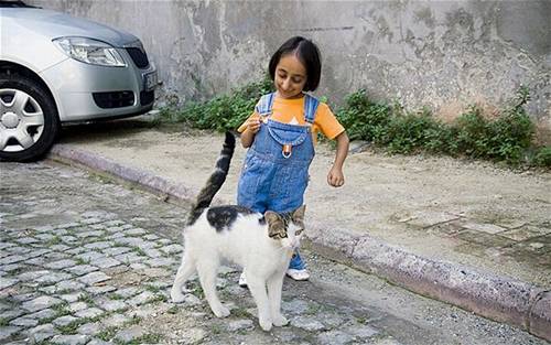 shortest woman in world. The world#39;s shortest woman,