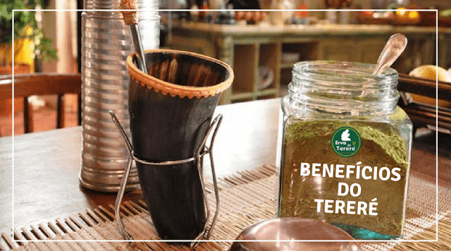 BENEFÍCIOS DO TERERÉ – CONHEÇA O QUE O TERERÉ PODE TRAZER DE BOM PARA SUA SAÚDE