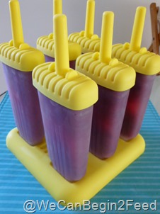 June 11 Paleo Pops 001