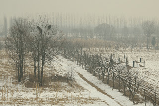 Graves in rural area of Hebei province in China