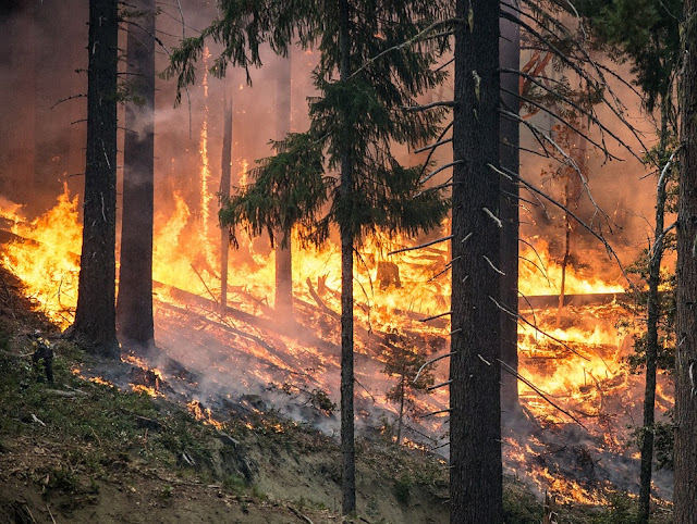 Nei prossimi decenni il rischio di incendi boschivi in area mediterranea potrebbe aumentare a causa di condizioni climatiche più aride.