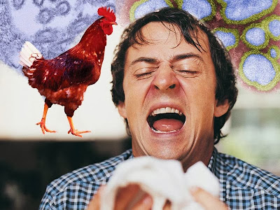 Gejala Flu Burung dan Penularan Infeksi Virus Flu Burung