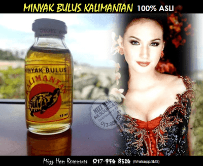 MINYAK BULUS KALIMANTAN 