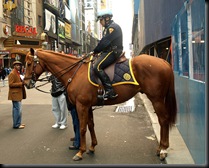 mounted policeman