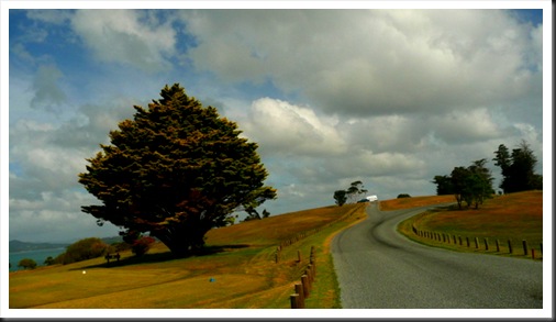 Waitangi (16)