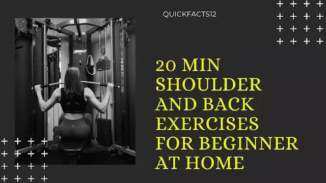 20 min shoulder and back exercises for beginner at home