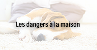  Les dangers à la maison