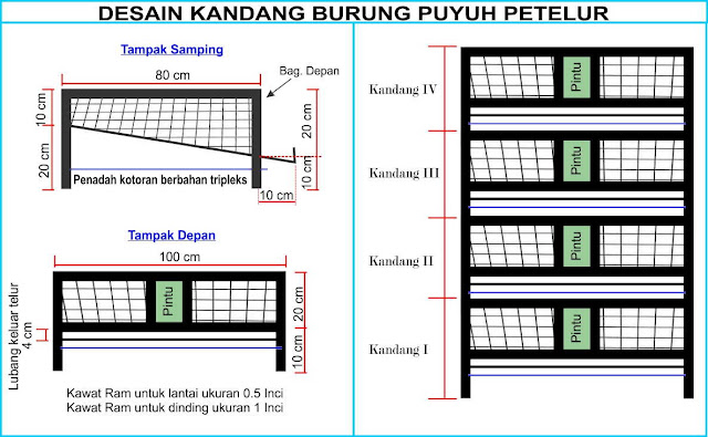 kandang burung puyuh