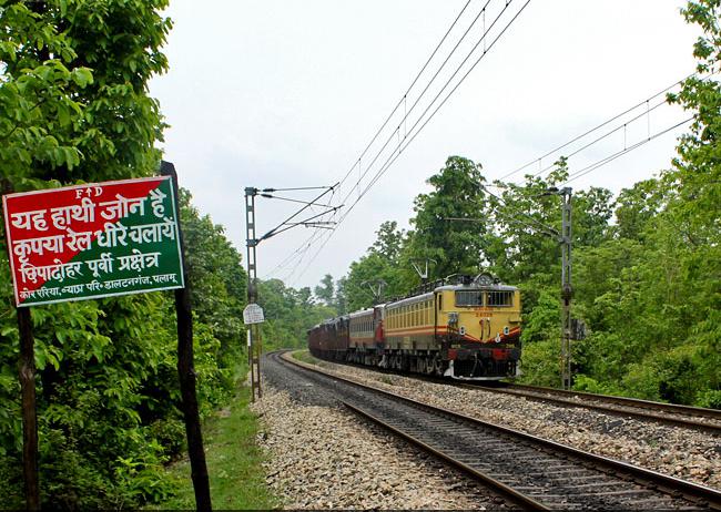 Railway tracks in national parks