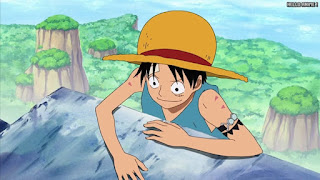 ワンピースアニメ 女ヶ島編 411話 ルフィ Monkey D. Luffy アマゾン・リリー | ONE PIECE Episode 411