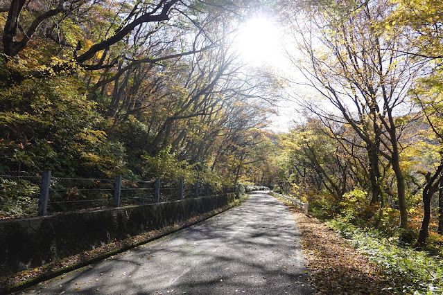 鳥取県西伯郡大山町 大山環状道路