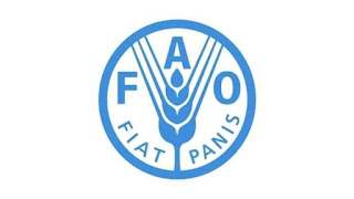 Food and Agriculture Organization Of the United Nations Job Vacancies (5 Openings)