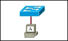 CCNA 1 Module 9 V4.0