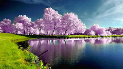 SPRING HD WALLPAPERS  66