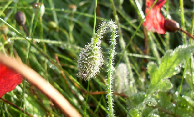 oktober 2010
