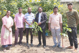 एड.रवी हिवराळे यांच्या वाढदिवसाच्या निमित्त वृक्षारोपणाचा कार्यक्रम साजरा करण्यात आला.