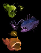 Designed some angler fish for my film. Still working on it but wanted to .