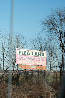 Road Sign: Flea Land!