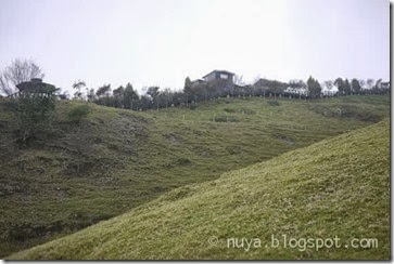 P1310817