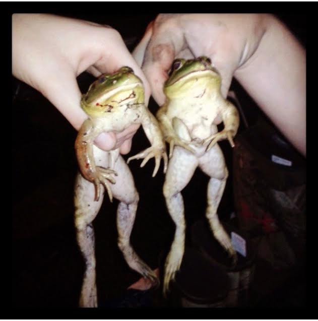Huntress View: Frog Gigging: How To and Recipe