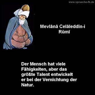 rumi zitete herz quotes