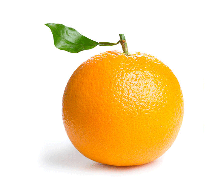 Orange fruit ( Santra ) in english