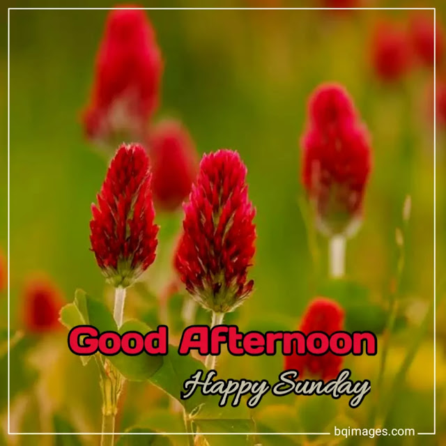 good afternoon sunday images