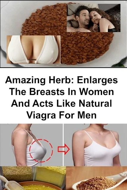 Amazing Herb: Enlarges the Breasts in Women and Acts Like Natural Viagra for Men