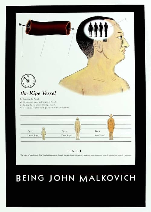 Descargar Cómo ser John Malkovich 1999 Blu Ray Latino Online