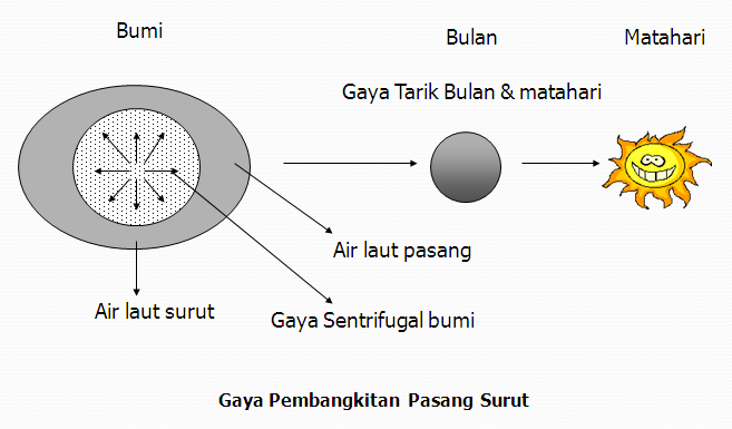 Apakah Bulan Mempengaruhi Pasang Surut Air Laut Diskusi Sains Dictio Community