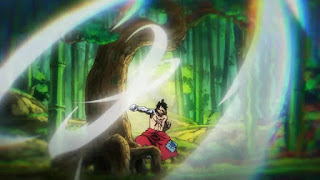 ワンピースアニメ ルフィ 流桜習得 武装色の覇気 Luffy Mastered Ryuo Haki