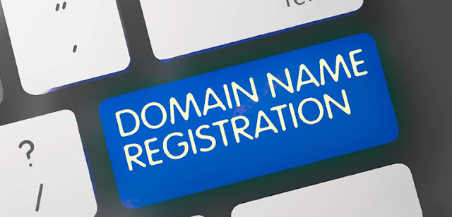 Domain Support in Pakistan