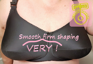 Firm shaping pointy Elila 1505 super bra.