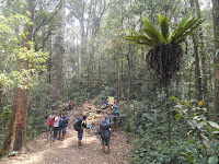 Pendakian Gunung Kerinci Oktober 2015 gunung kerinci jalur darat udara transportasi gunung kerinci