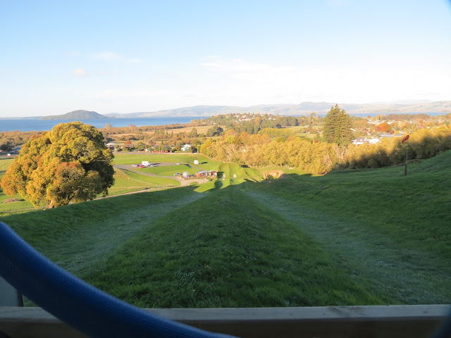 zorb, rotorua, new zealand