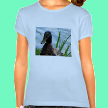 Click to buy