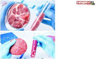 محاكاة إعجازات الرحمن في خلق الخلايا الجذعيه  Stem Cells   استنبات اللحوم  الفرف بين اللحم المستنبت والعادي