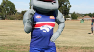 Western Bulldogs Mascot Woofer : AFL 2007 Herald Sun-181 Western Bulldogs Mascot/Team ...