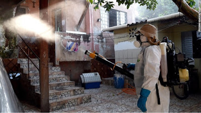 282 Zika Cases in Florida