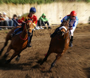 . a surpresa sera uma corrida de cavalos agradessemos a vossa presensa.