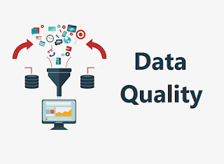 A person inspecting and evaluating data quality, identifying and addressing issues to ensure accurate and reliable data for machine learning applications.