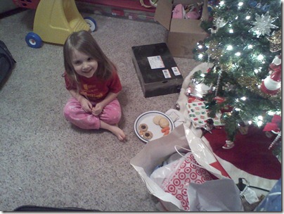 cookies for Santa