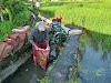 Saluran Irigasi Subak Jebol, Babinsa Bersama Petani Bahu-Membahu Lakukan Perbaikan